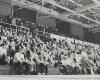 在一张1973年的黑白档案照片中，一群学生在室内观看篮球比赛